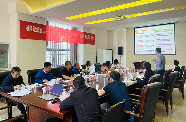 蔗渣制浆绿色生产与半纤维素高值化利用关键技术研发及产业化应用 anli.jpg